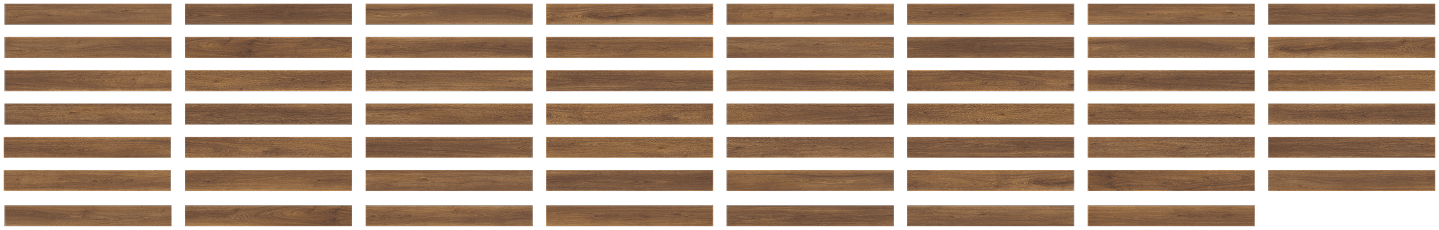 55-plank-desktop